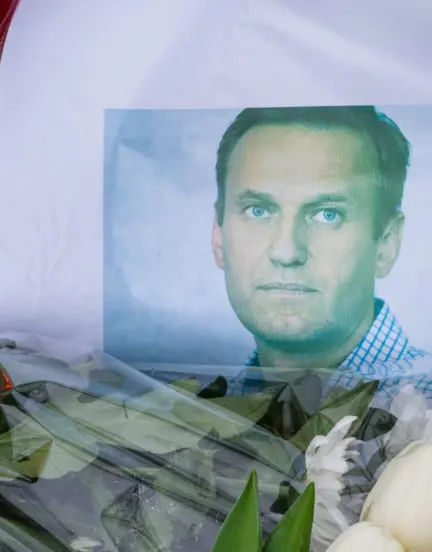 Titelbild Hintergrund