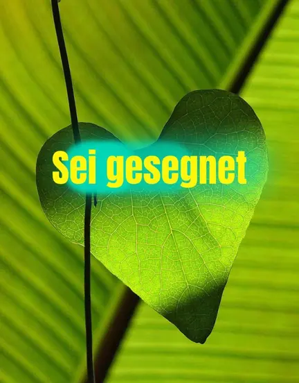 Titelbild Hintergrund