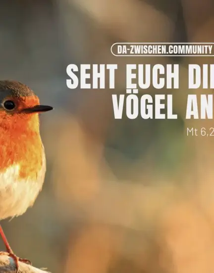 Titelbild Hintergrund